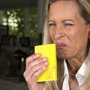 women smelling a spung