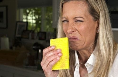 women smelling a spung