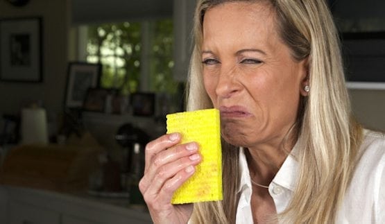woman smelling a spunge