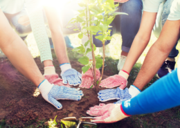 free fun things to do volunteer as family planting trees