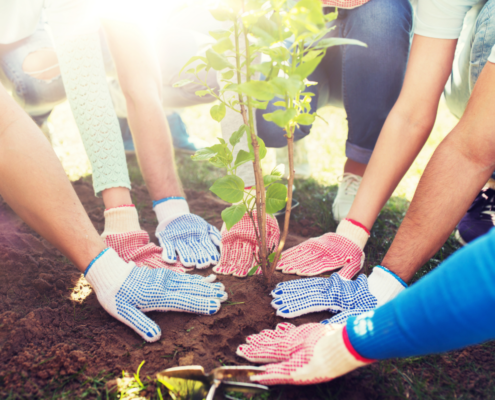 free fun things to do volunteer as family planting trees