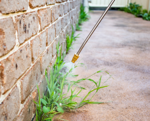 homemade weed killer garden sprayer on sidewalk brick wall