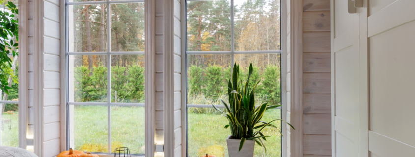 window care how to winterize maintain spring clean bright mini pumpkins