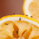fruit flies on an orange
