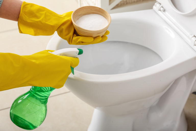 DIY Toilet Bowl Cleaner That Actually Works—No Bleach • Everyday Cheapskate