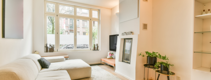 clean home professional hacks tips