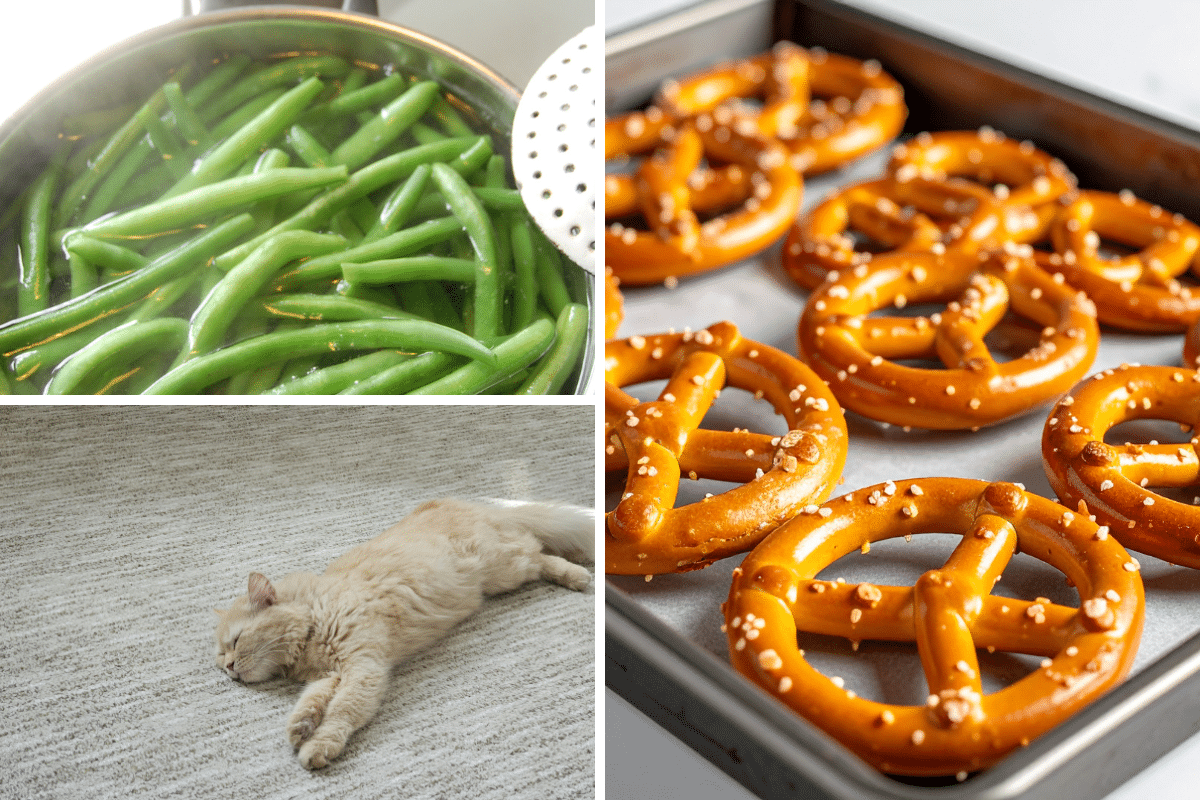 surprising uses for baking soda pretzels blanch green beans fleas cat on rug