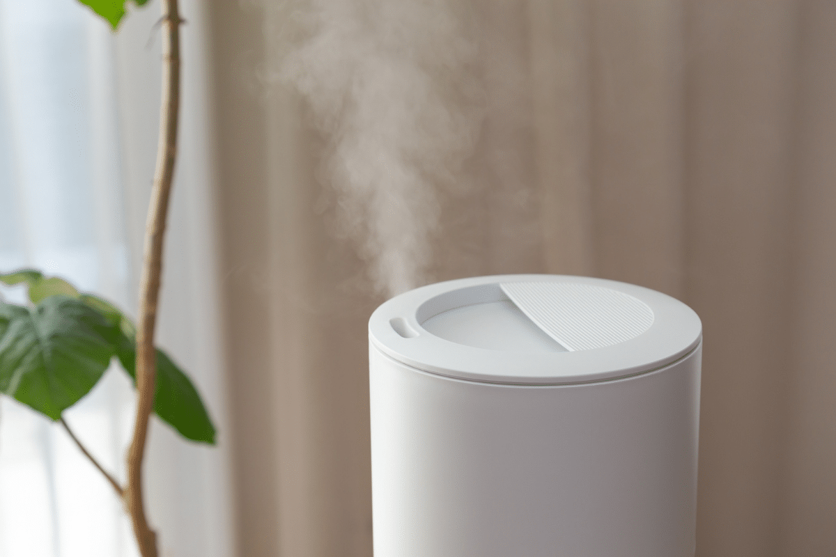 humidifier with fiddle leaf fig in background