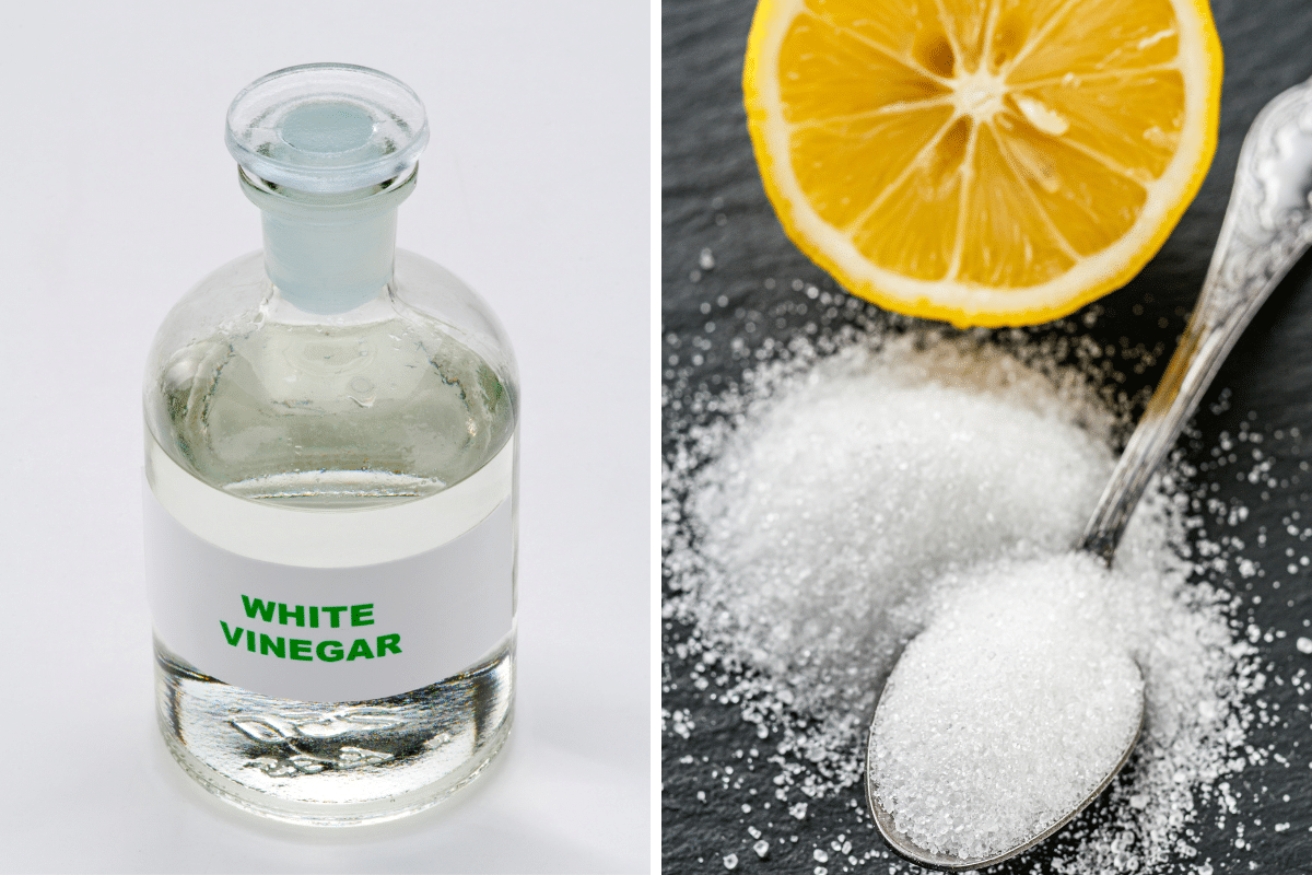 white vinegar vs citric acid for cleaning a dishwasher diy cleaner.