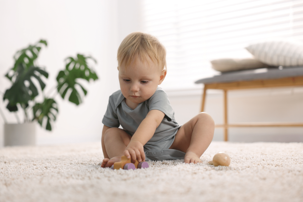male child baby toddler playing with toys on ivory carpet with plant in background