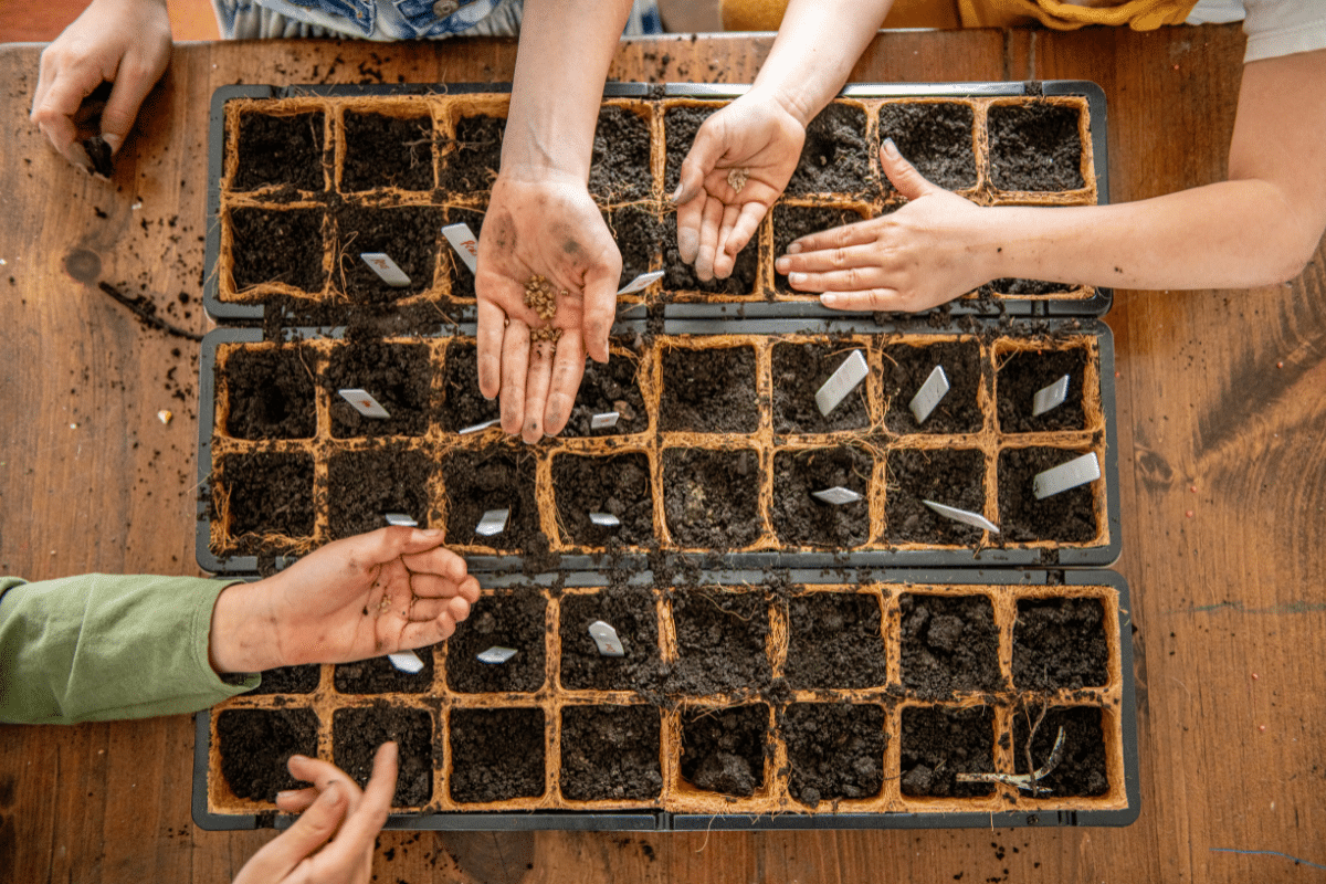 family planting seedlings before first frost in spring