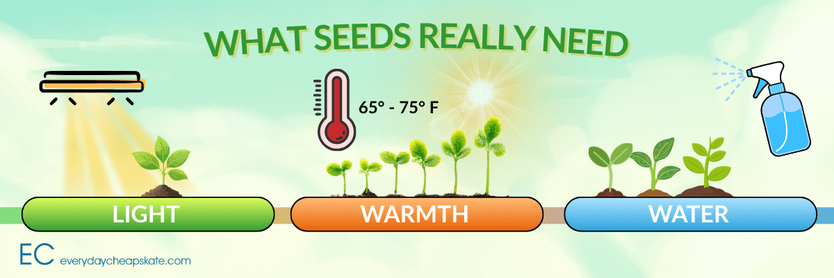 what seeds really need light warmth water