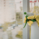 woman spraying Alvin Corn homemade glass cleaner on window