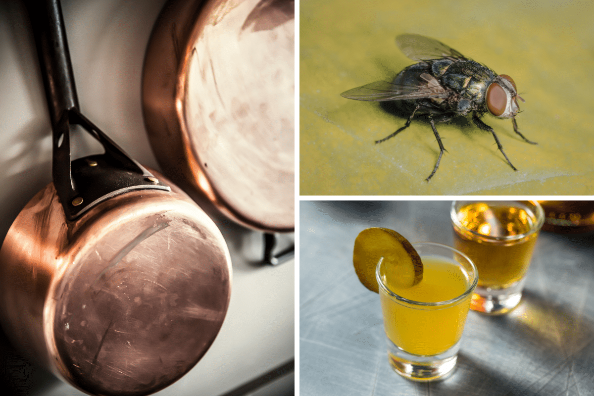 pickle juice to clean copper bottom pans catch fruit flies trap pickleback shot whiskey