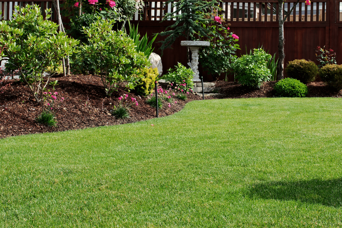 a beautiful landscaped lawn with green grass and no weeds