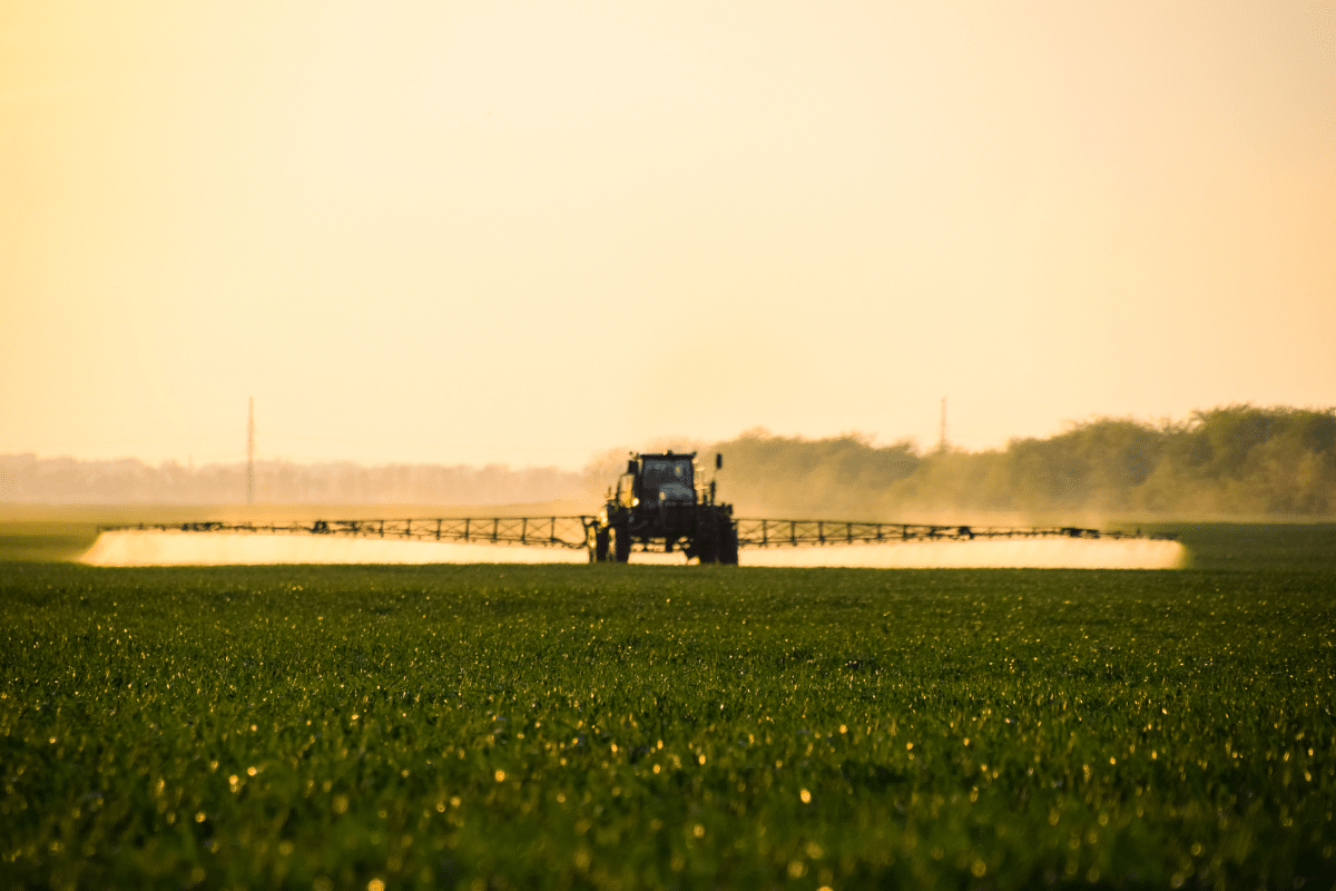 organic weed control versus toxic fertilizers glyphosate 2,4-D