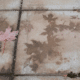 top view of pavers with leaf tannins how to remove leaf stains from concrete