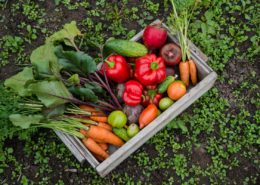 square foot gardening for beginners crate of delicious vegetables carrots peppers tomatoes