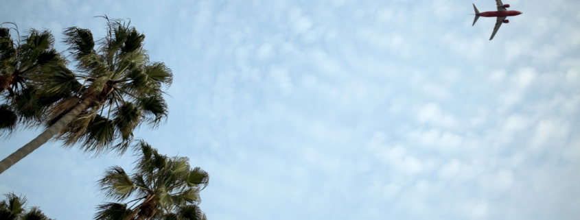 airline rules that can cost you money looking up at palm trees clouds and plane