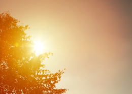 keep your home cool on a budget sun peeking behind tree
