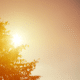 keep your home cool on a budget sun peeking behind tree