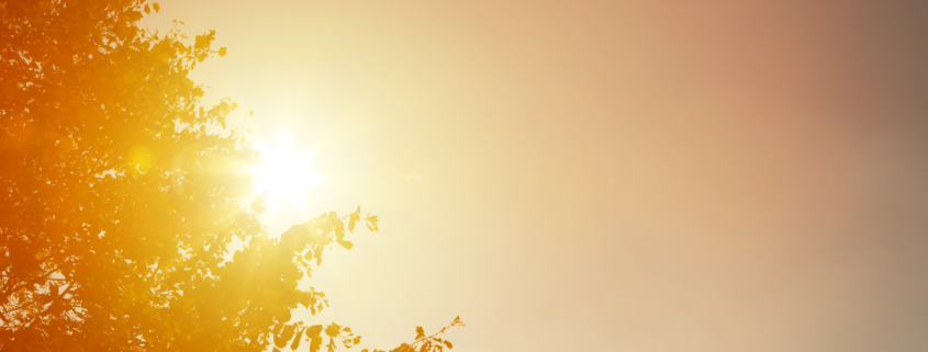 keep your home cool on a budget sun peeking behind tree