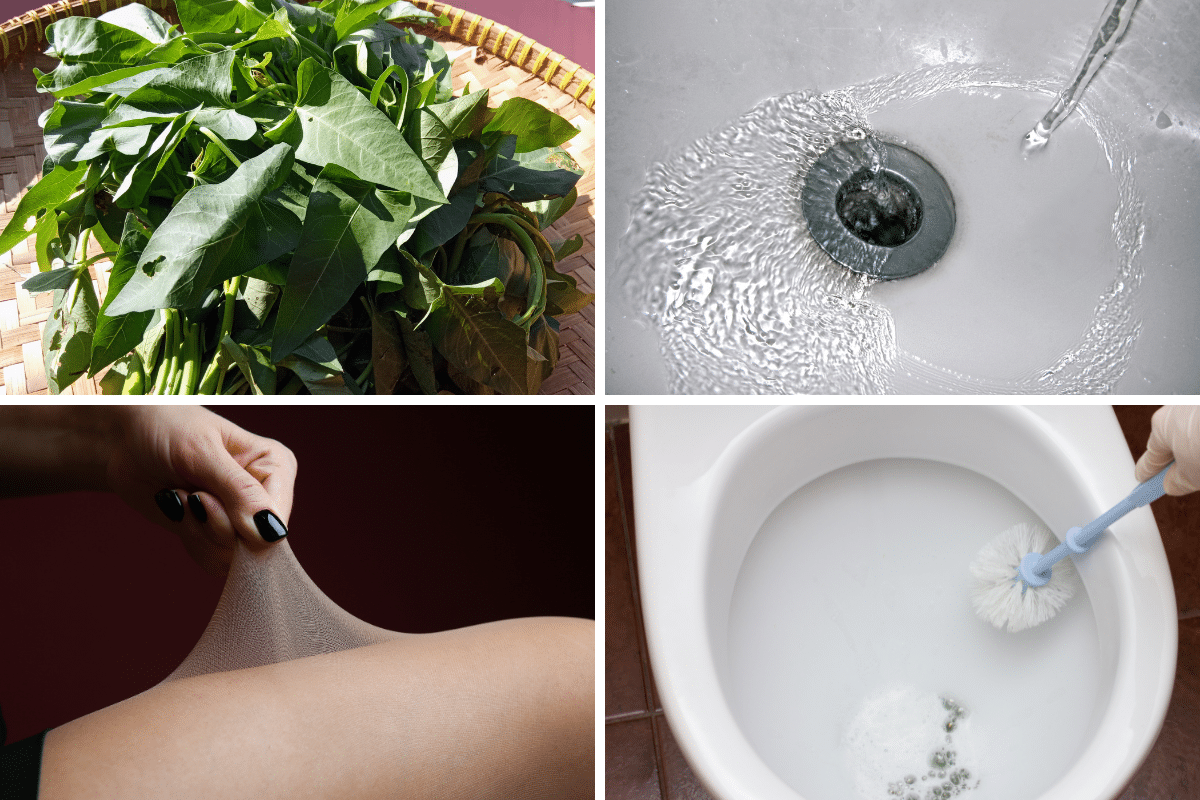 uses for salt brighten greens lettuce spinach freshen bathroom sink pantyhose scouring powder porcelain