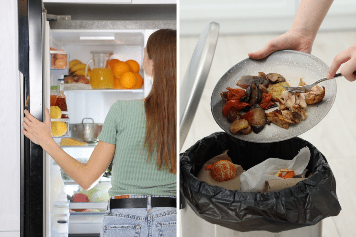 neutralize odors with spent coffee grounds refrigerator trash can