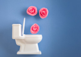 toilet with roses coming out diy poo pourri spray