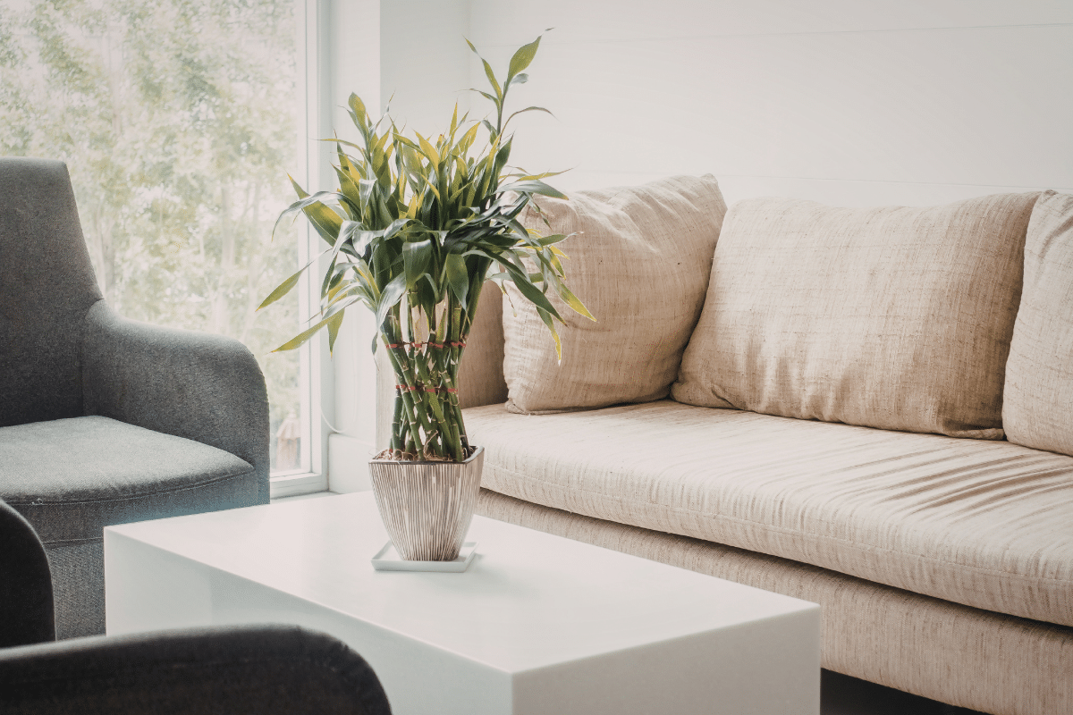 the impact of natural light when selling a home