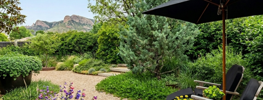 northern colorado home backyard upgrades on a budget two comfortable chairs and patio umbrella for shade