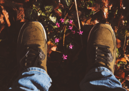 how to clean suede shoes
