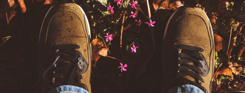 how to clean suede shoes