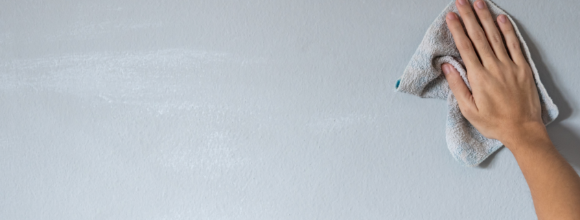 female hand wiping painted wall with microfiber cloth