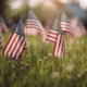 how to honor and remember memorial day flags in grass