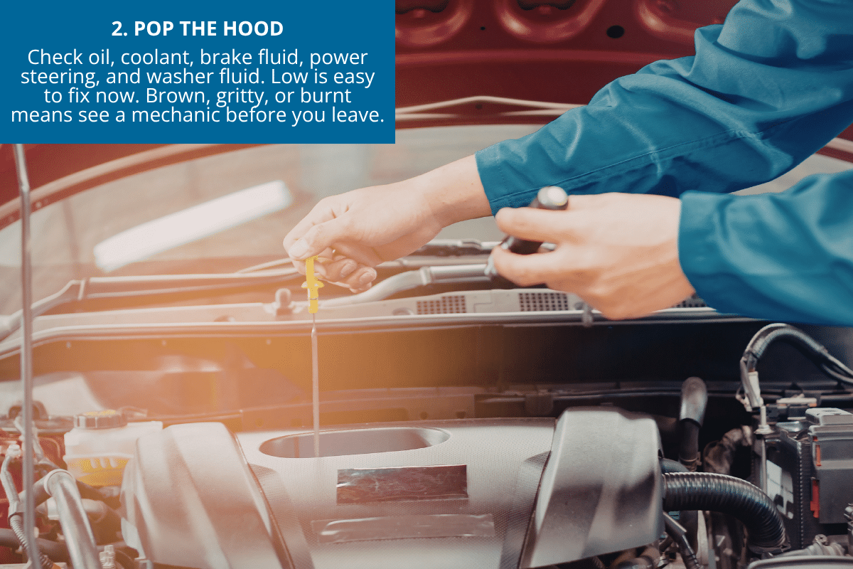 pop the hood and check fluid levels before a road trip