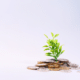 how to build a $1,000 emergency fund jar with coins and plant