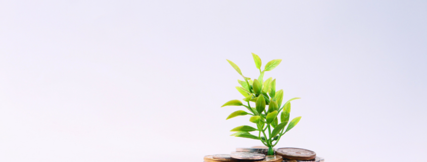 how to build a $1,000 emergency fund jar with coins and plant