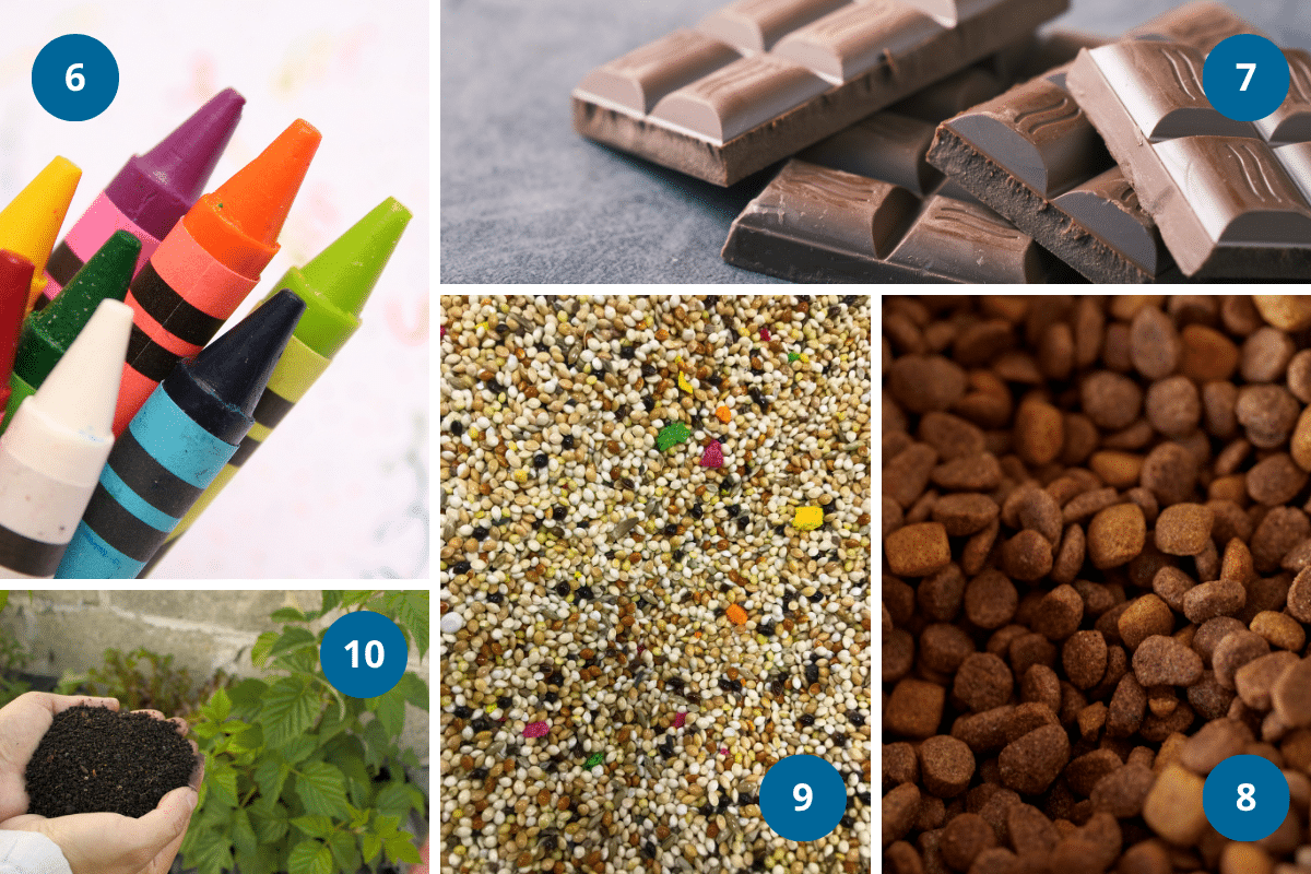crayons chocolate pet food birdseed and fertilizer