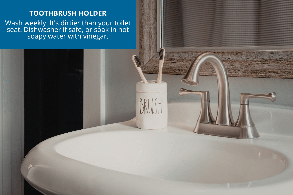 toothbrush holder cleanliness bacteria