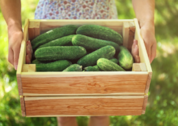a woman holding a crate of cucumbers