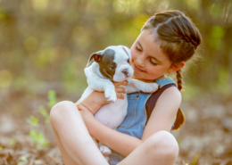 young girl holding brand new bulldog puppy