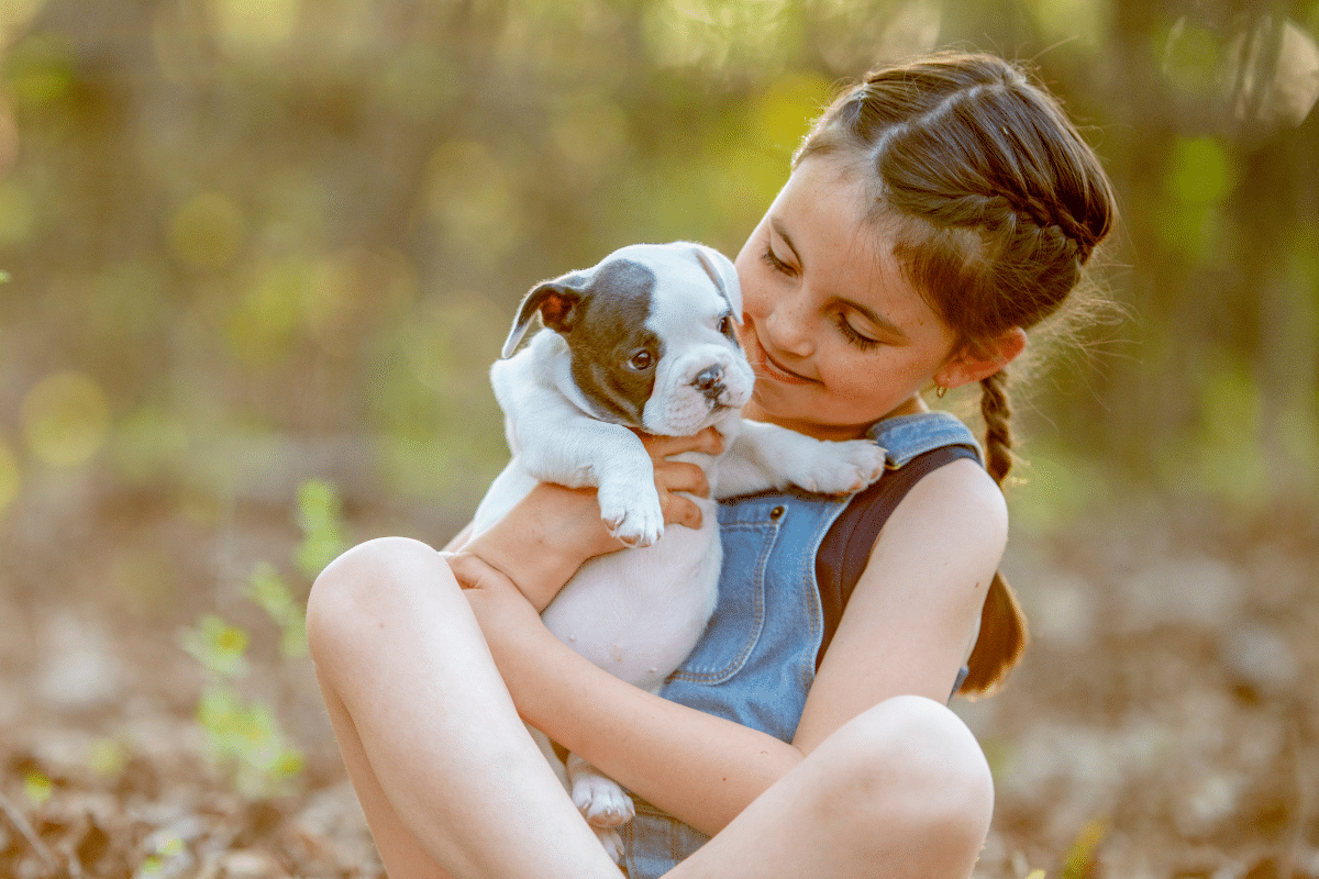 young girl holding brand new bulldog puppy