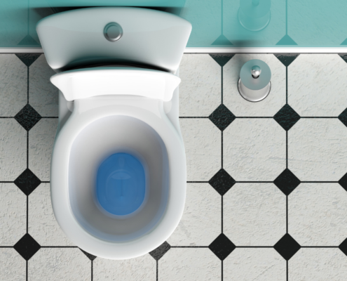 overhead view of toilet bowl and tile floor