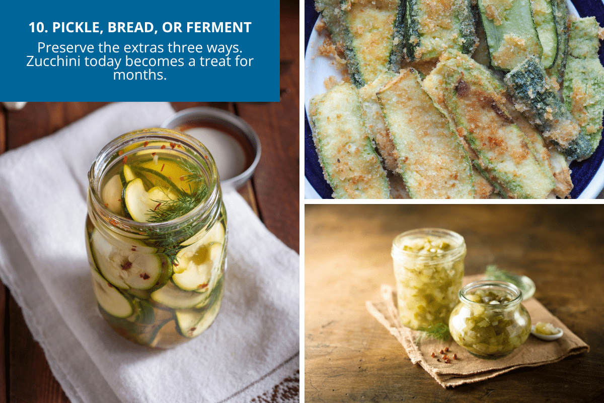 pickle bread or ferment zucchini