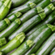 zucchini overload what to do with a bunch of zucchini