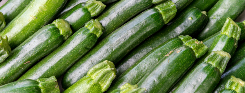 zucchini overload what to do with a bunch of zucchini