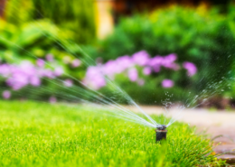 how to water your lawn without wasting money