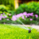 how to water your lawn without wasting money