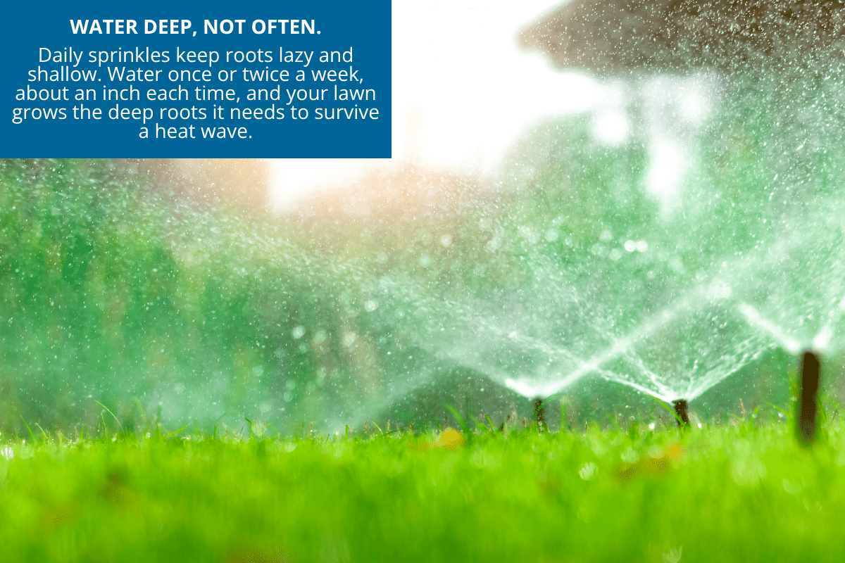 water deep not often to save money on lawn
